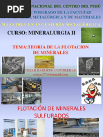 Teoria de La Flotacion de Minerales Sulfurados