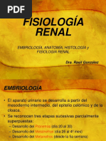 EMBRIOLOGIA Y FISIOLOGIA RENAL DRAS. Adacrist y Yadelsis