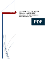 Informe Final Diplomado