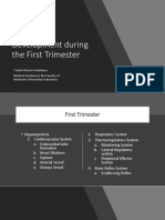 Embryonic Development of The Cardiovascular and Respiratory System During The First Trimester