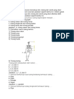 Soal Sistem Gerak Pada Manusia Mencakup Otot