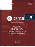 Unificado Practica Profesional I PDF