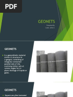 GEONETS