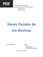 Heces Fecales Bovinos