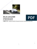 Plan Afaceri Rent A Car