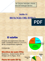 Bolilla 8. Biota Del Suelo