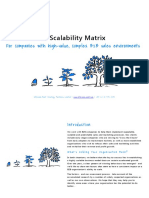 An Introduction To The Business Scalability Matrix PDF