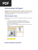 Biotechnology Lab Report-2