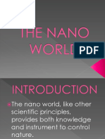 The Nano World