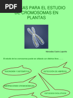 Técnicas para El Estudio de Cromosomas en Plantas