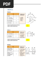 Ficha para Reba