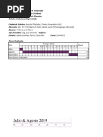 DIAGRAMA GANTT (Autoguardado)