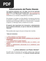 Adiestramiento Del Pastor Alemán