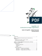 E14 13 Ergo Psicosocial PDF