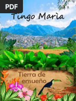 Turismo Tingo Maria