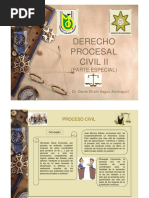 Derecho Procesal Civil II PDF