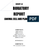 Group6 Lab Report