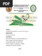 Analisis de Demanda Pratica Laboral