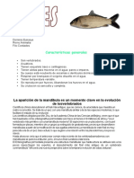 Peces PDF