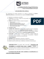 Guia de Practica Penal PDF