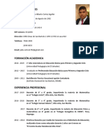 Ejemplo Curriculum Vitae