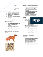 The Endocrine System and Hormones