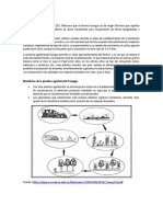 Tecnologias Forestales