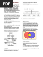 Organizador Grafico