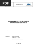 Informe Ejecutivo de Gestion Brigada