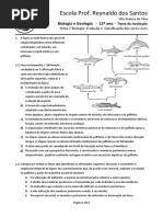 BG11 Teste Evol Classif 2011 PDF