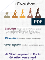 Human Evolution