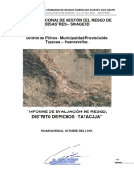 Evaluacion de Riesgos Pichos - Noviembre - 2019 PDF