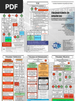 Traumatismos en Urgencias PDF