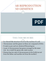 Cellular Reproduction and Genetics