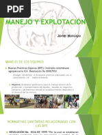 Manejo y Explotacion Equina