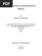 Rabe Model 2005 PDF