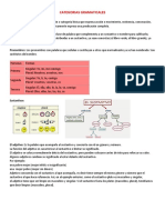 Categorias Gramaticales