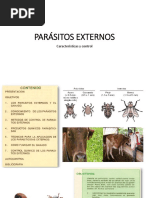 Parásitos Externos