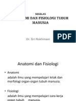 Anatomi Fisiologi Manusia