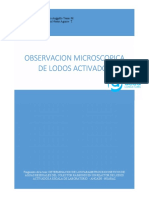 Observacion Microscopica de Lodos Activados