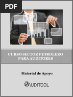 Guia Curso Sector Petrolero para Auditores