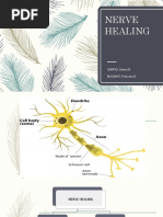 Nerve Healing Final