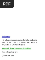 Peritoneum Vertical Disposition 2