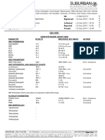 Report PDF