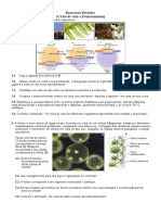 Exercicos Revisões Bio11º