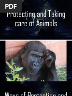 Protecting and Taking Care of Animals