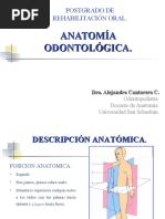 Anatomia Odontologica (PPTminimizer)