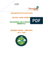 Lineamientos - de - Ejecución - 2020 - (002) 0650177001578595912 M AMBIENTE PDF