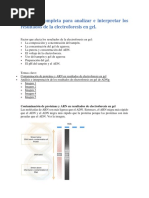 Una Guía Completa para Analizar e Interpretar Los Resultados de La Electroforesis en Gel