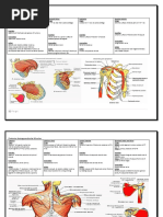 Muscle Innervation Chart II